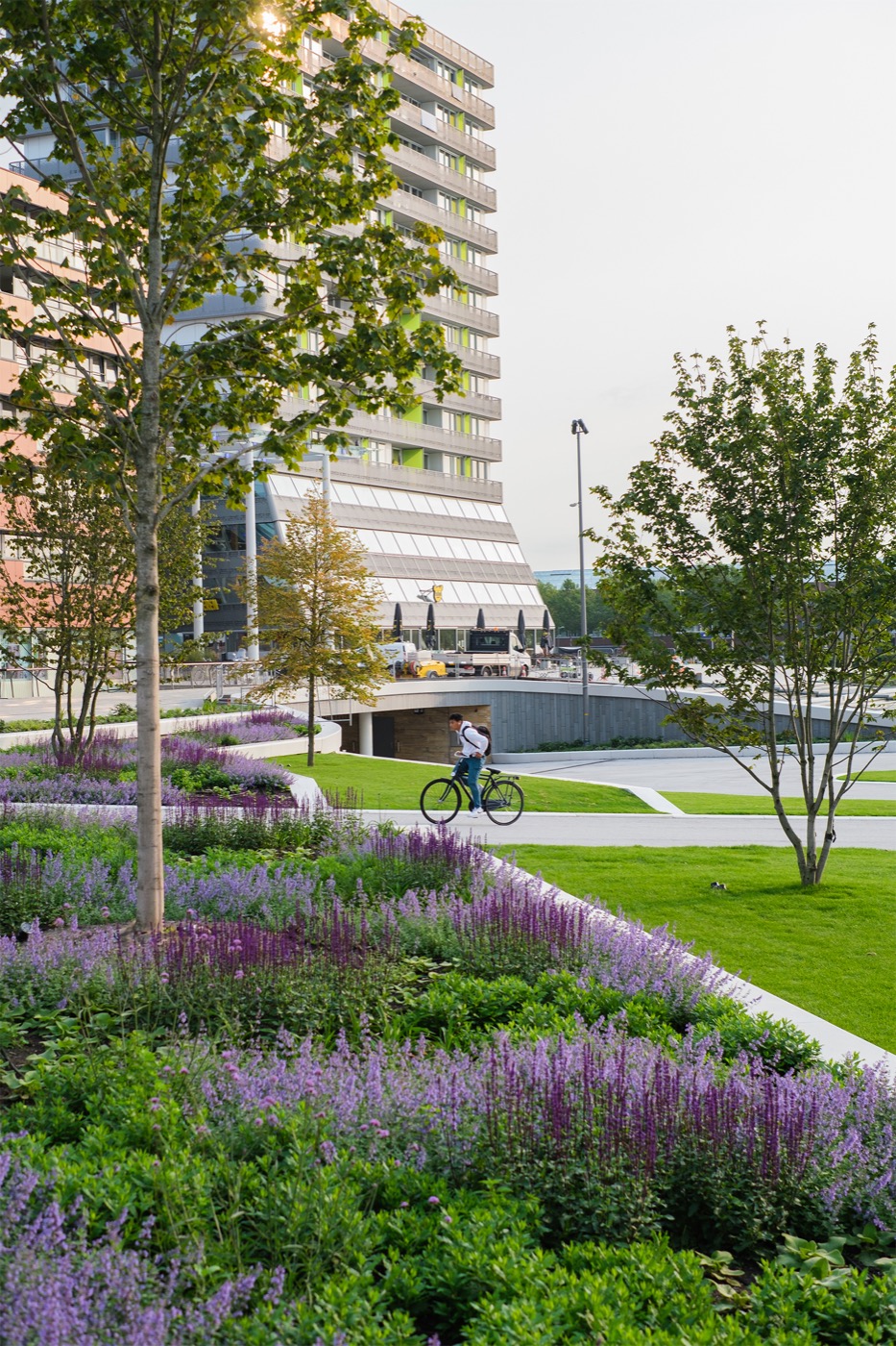 荷兰阿尔梅勒市中心的绿色广场（The Esplanade in Almere）-3