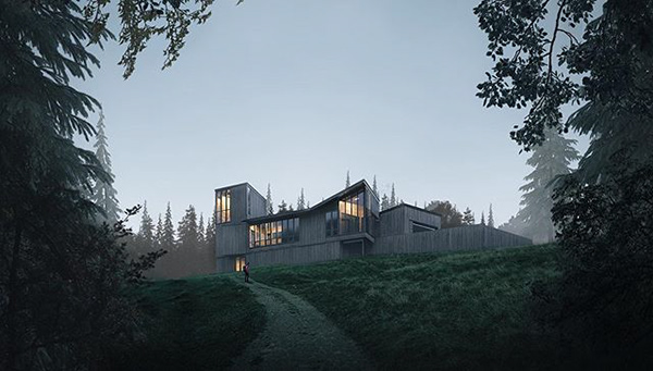 森林小屋丨个人-3