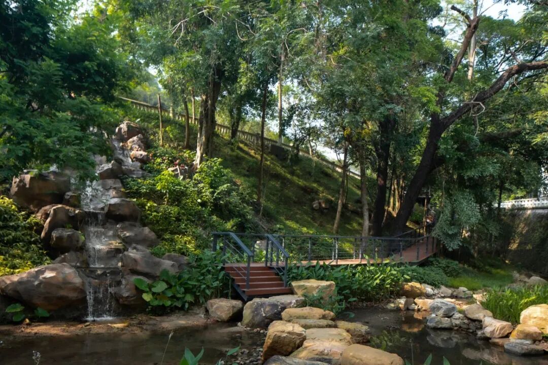 广东温泉宾馆松园一号户外园林景观改造工程丨中国广州-13