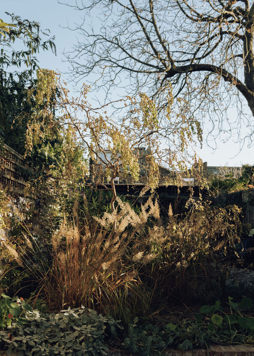 伦敦摄影师的现代主义维式住宅-12