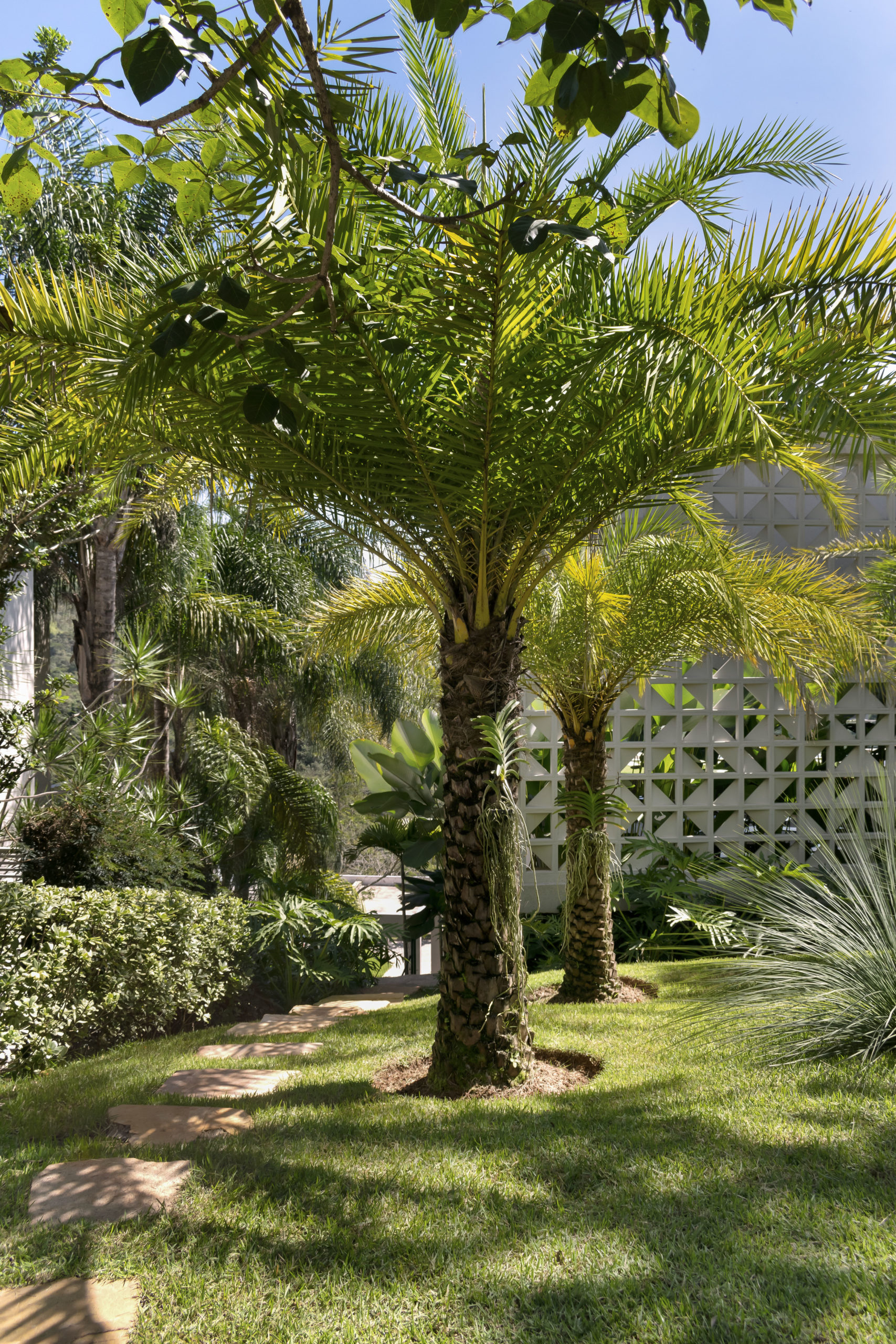 Jardim tropical e integrado à arquitetura em casa mineira - Conexão Decór-6