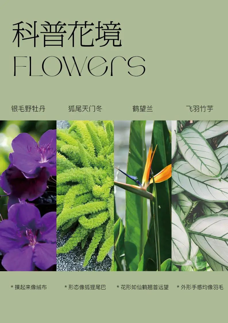 林间绿岛，人文雅居 | 深圳静安府-77