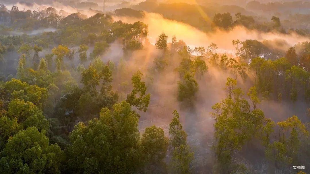 现在就出发！拥抱自由，奔赴理想的度假生活-39