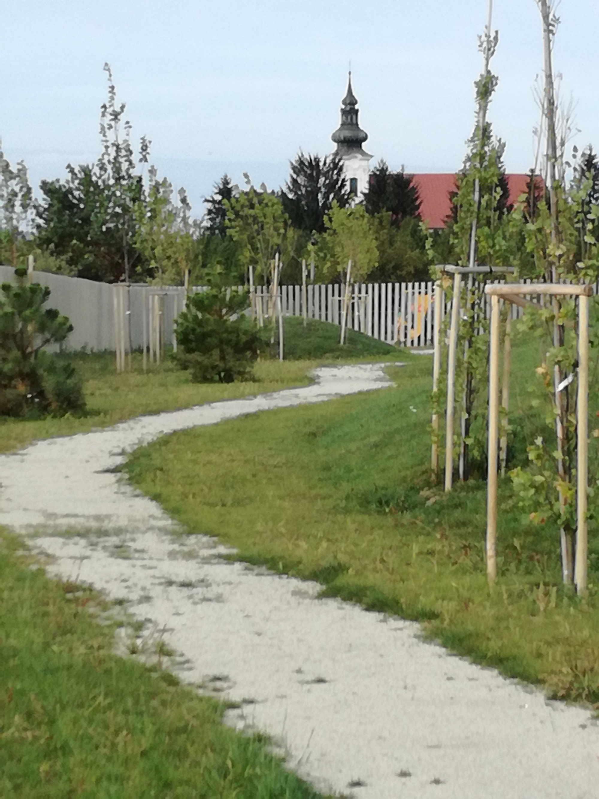 普雷绍夫市公墓 - 斯瓦比丨Slovak丨STOA Architekti-32