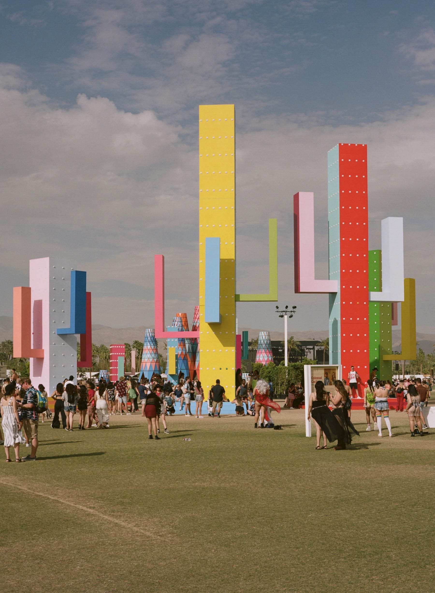 巨大仙人掌,科瓦奇办公室-21