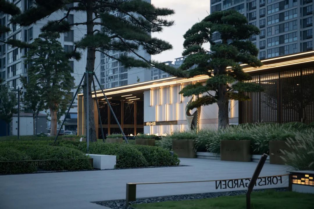 和熙碧影迎明月 | 绿城·沁香园-36