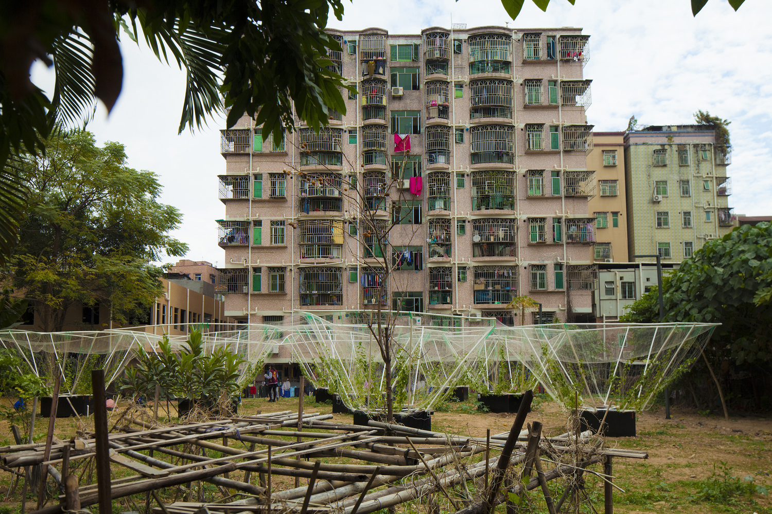 深圳天际农场 · 农民智慧融入城市更新-39