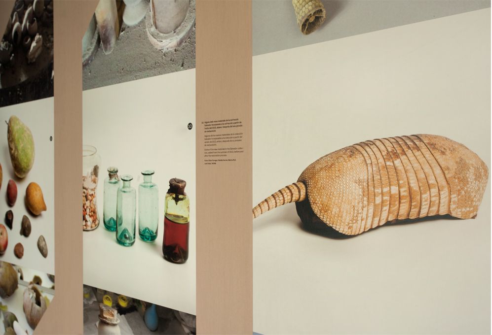 SALVADORIANA科学藏品展丨西班牙巴塞罗那丨emiliana design studio-20