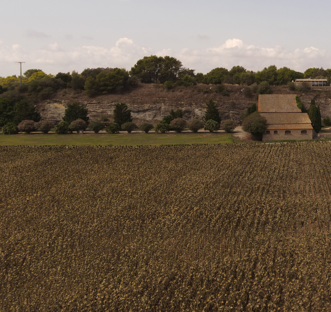 西班牙乡村的庇护所丨Agora Arquitectura-42