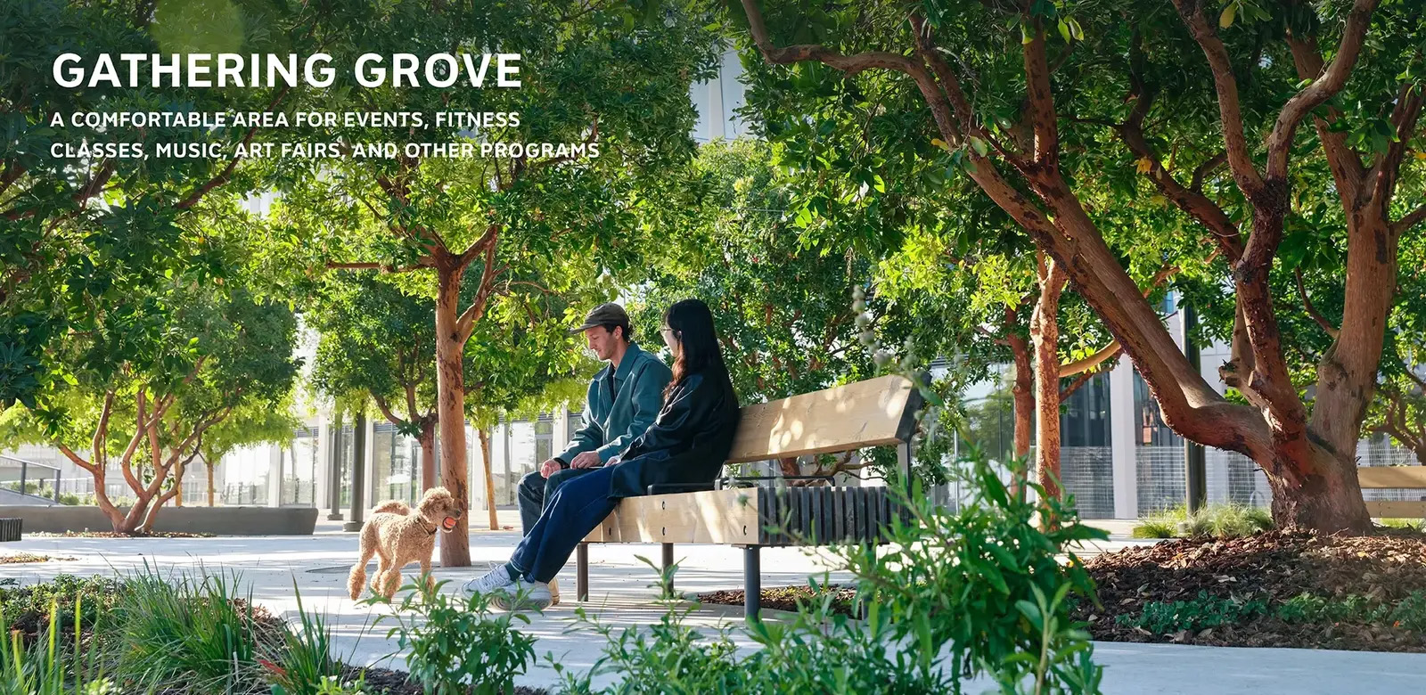 旧金山中国盆地公园丨美国丨SCAPE-37