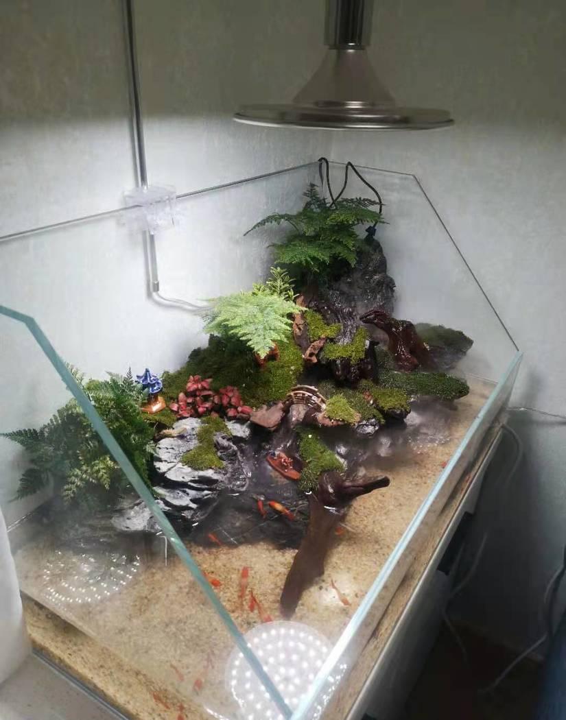 
济南奥东11号公寓59平实拍 -5