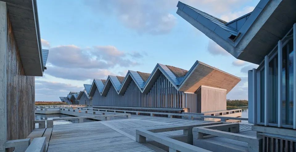 "一体两面"的崇明东滩湿地科研宣教中心-219