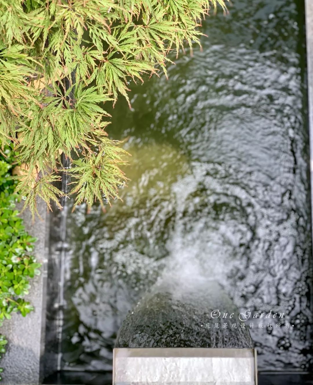 共享花园 | 两家人，一份温情，一座现代都市花园-94