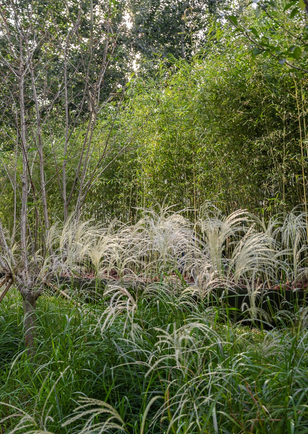 万科时代中心·三元桥海航大厦景观改造丨中国北京-63