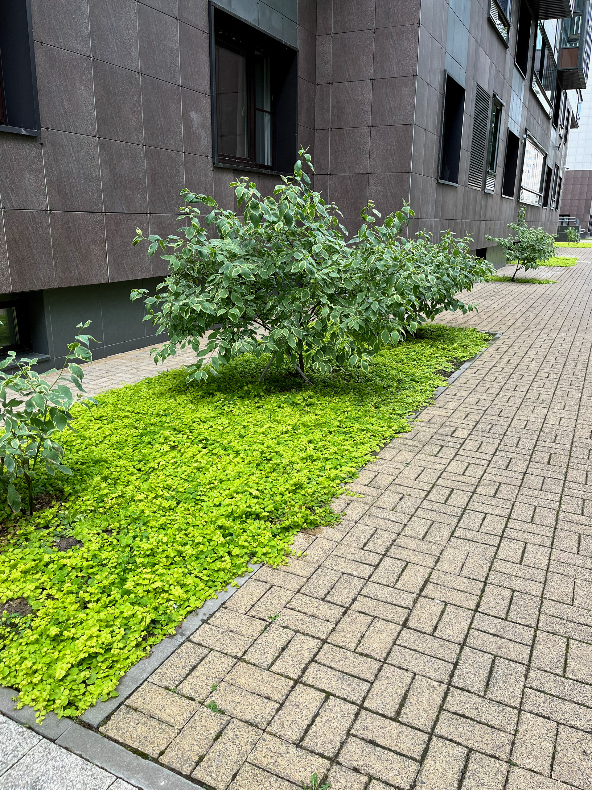 住宅小区绿化项目-28