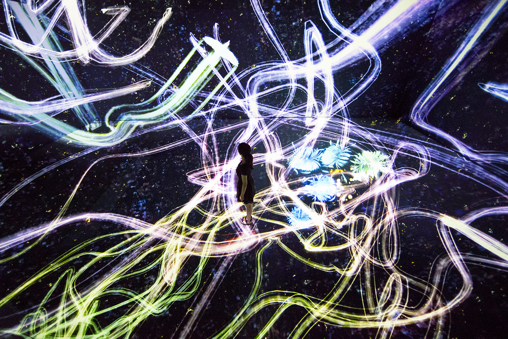 teamLab 2017 深圳北京大展：舞蹈吧，艺术！寓教于乐的未来游乐园！-137