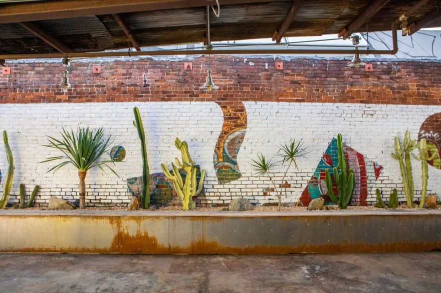 丨美国洛杉矶丨Endemic Architecture-19