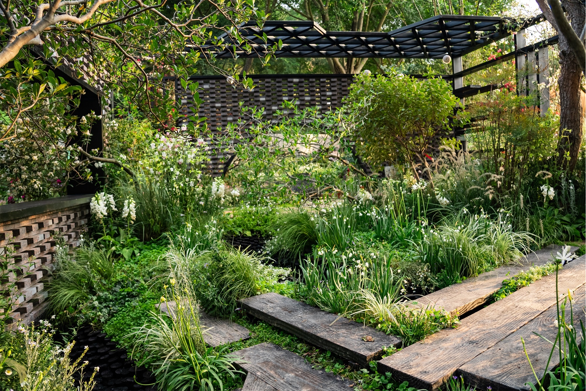 2024粤港澳大湾区花展宝安区城市花园·绮云书香丨中国深圳丨林俊英景观工作室&深圳市造源景观旅游规划设计有限公司-107