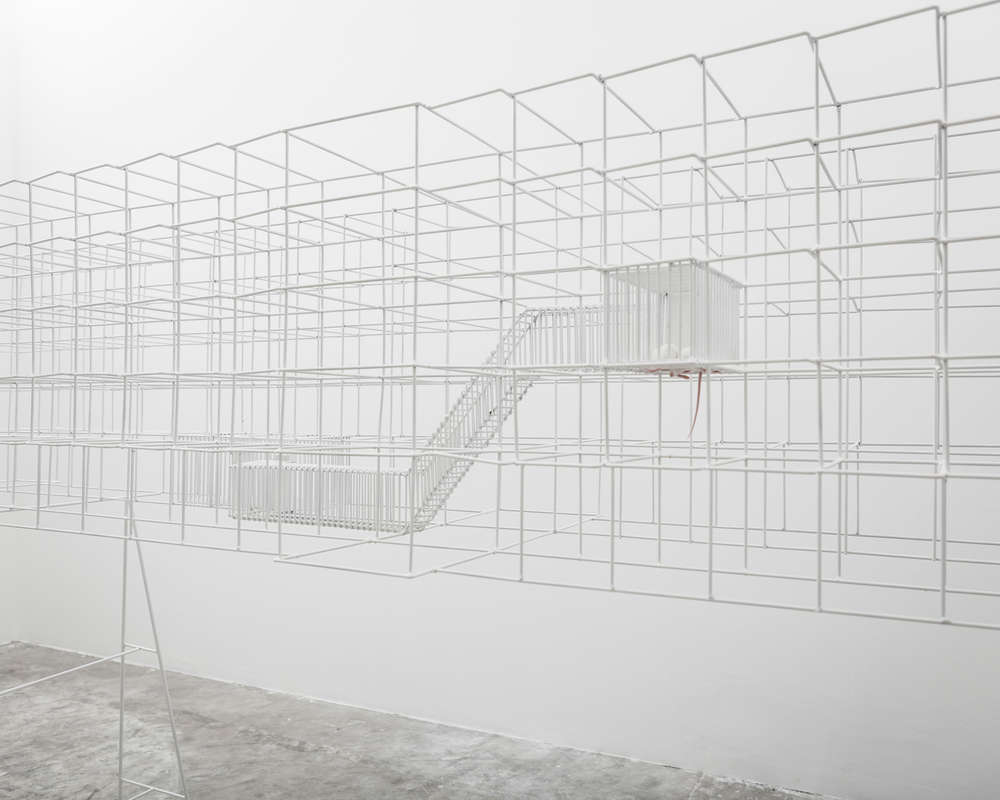 假释；有条件释放；言语（在语言学中指个人的实际言语行为）丨Daniel Zamarbide与Leopold Banchini-16