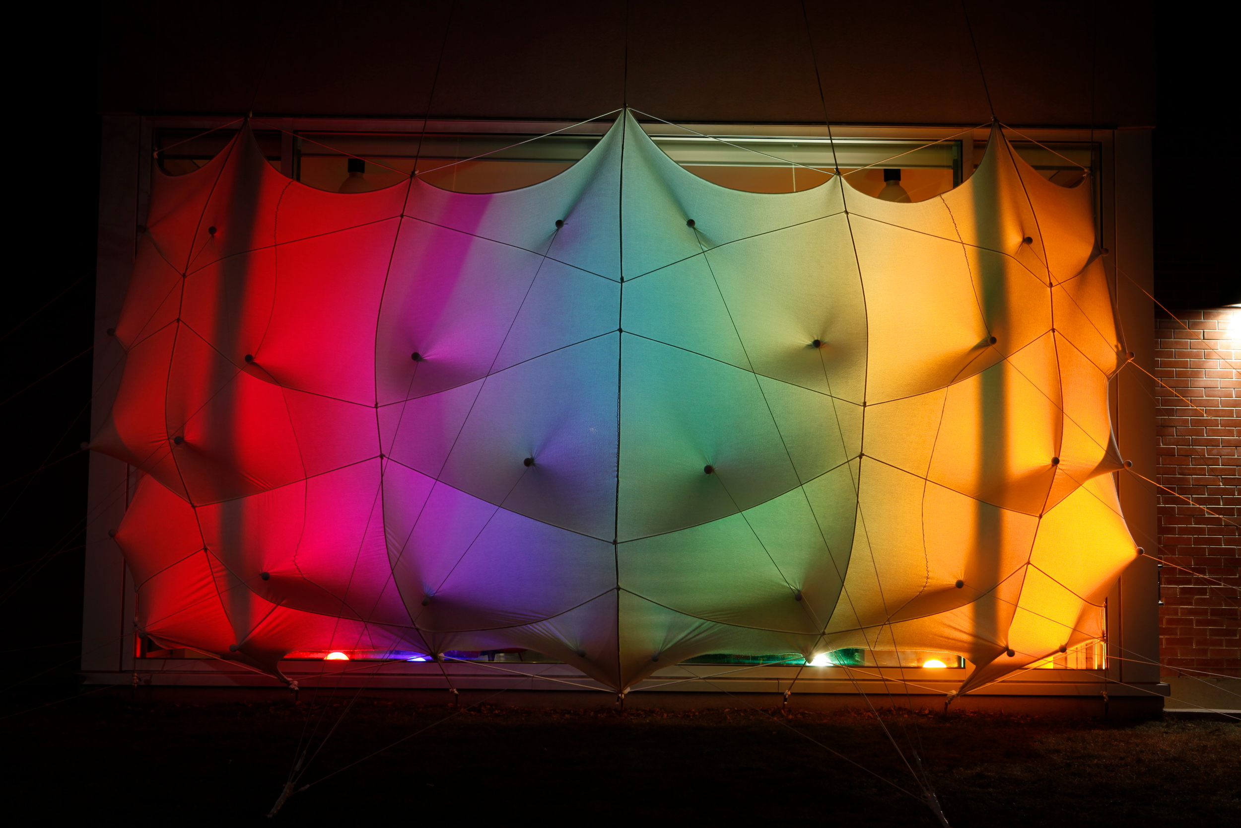 蜂群；一群（昆虫、人等）；一大群；蜂拥而至；成群移动；云集丨加拿大丨Lancelot Coar-21