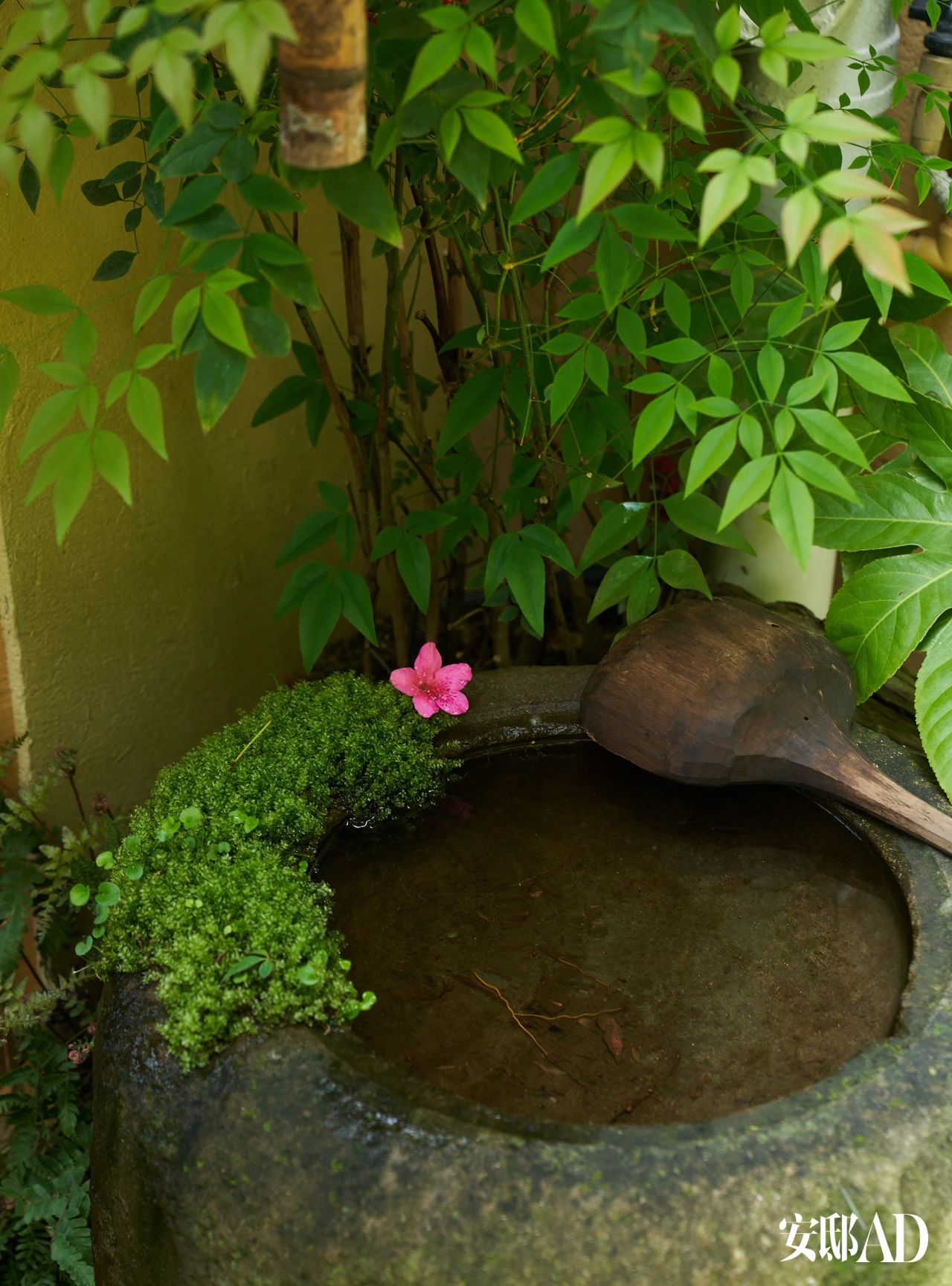 温莳空间丨中国上海丨析乘温莳设计-25