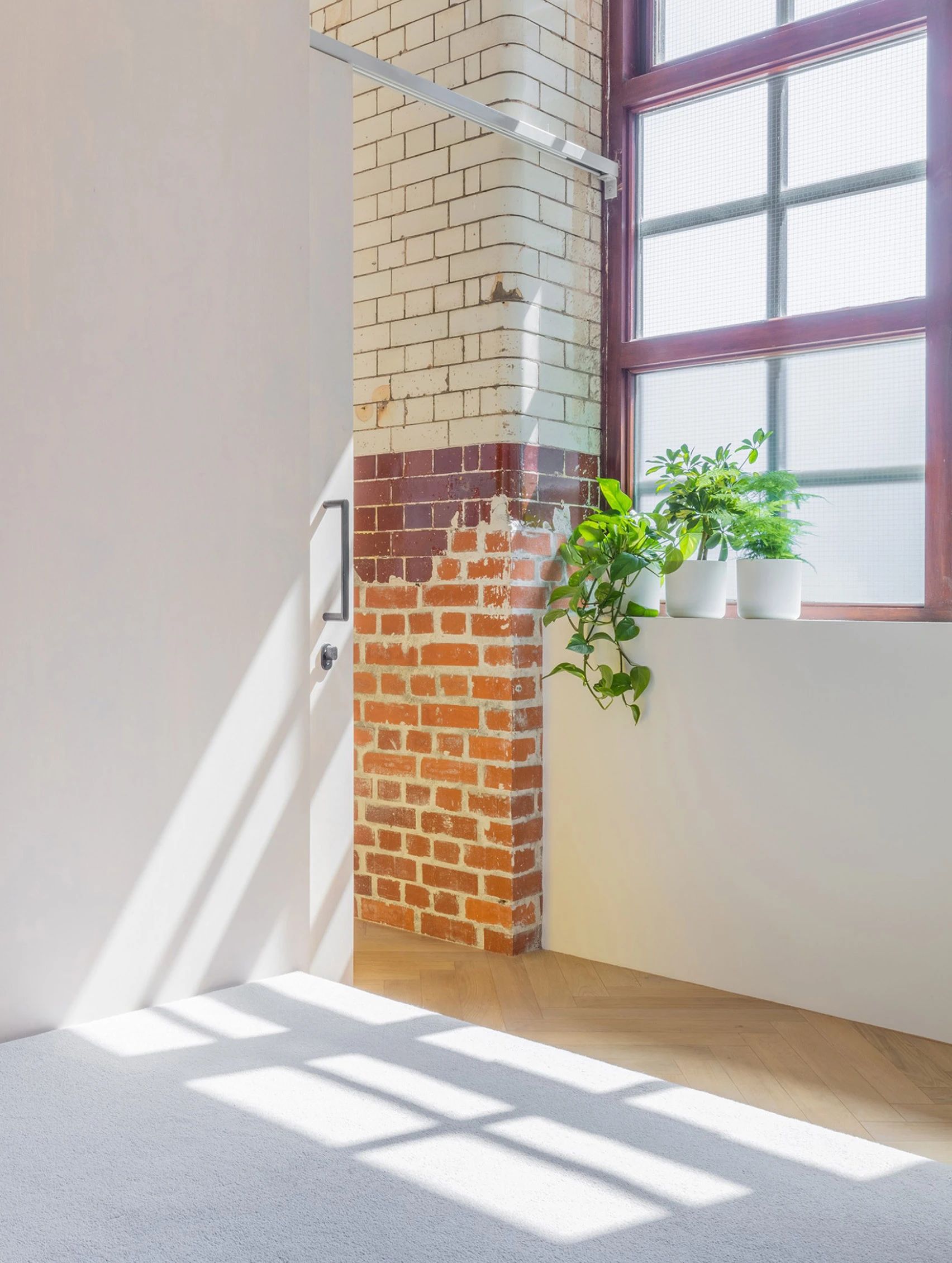 伦敦老旧饼干厂,变身无障碍交流阳光住宅-2