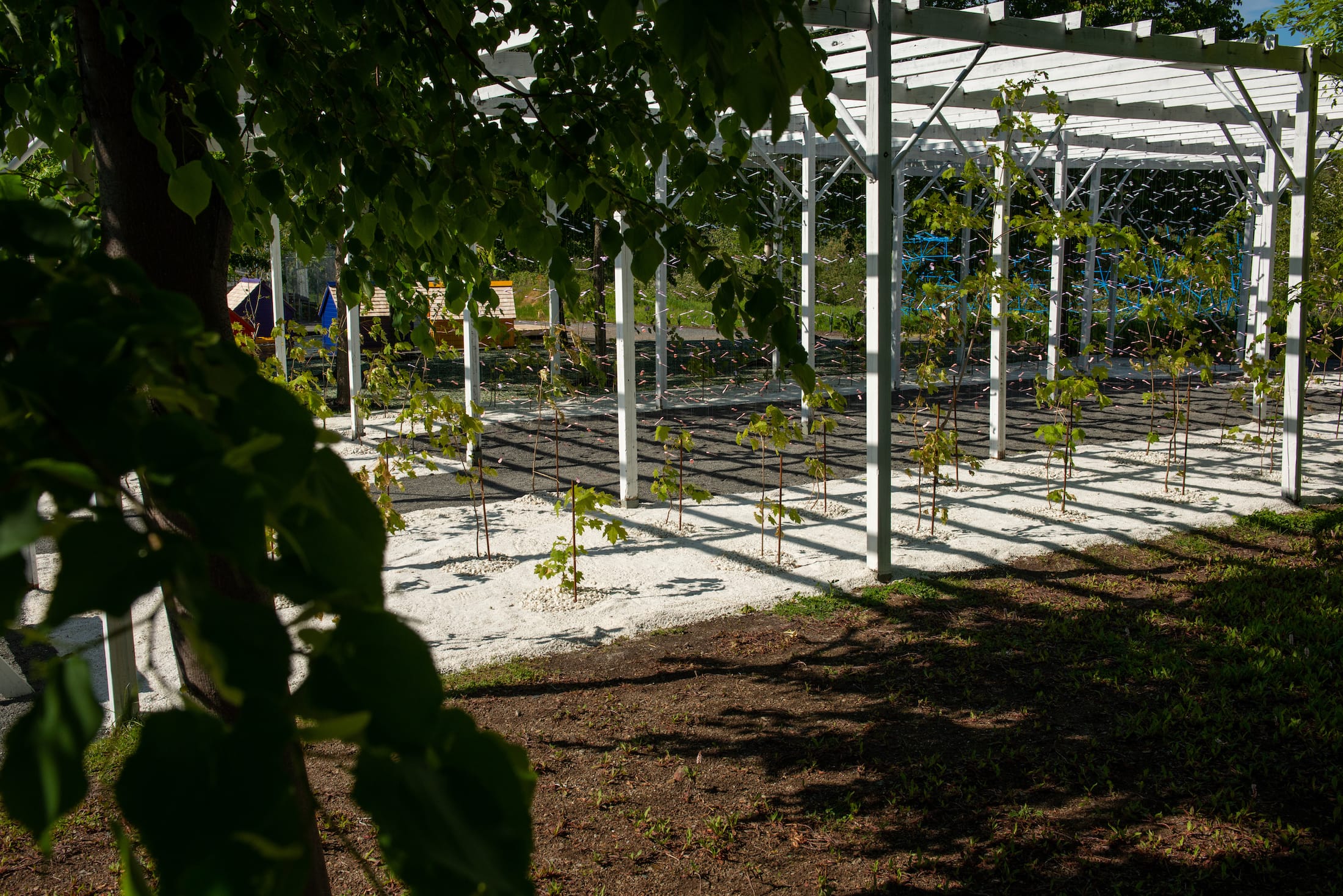 2019 加拿大国际花园节 | 彩色“岩石”结构装置引人入胜-44