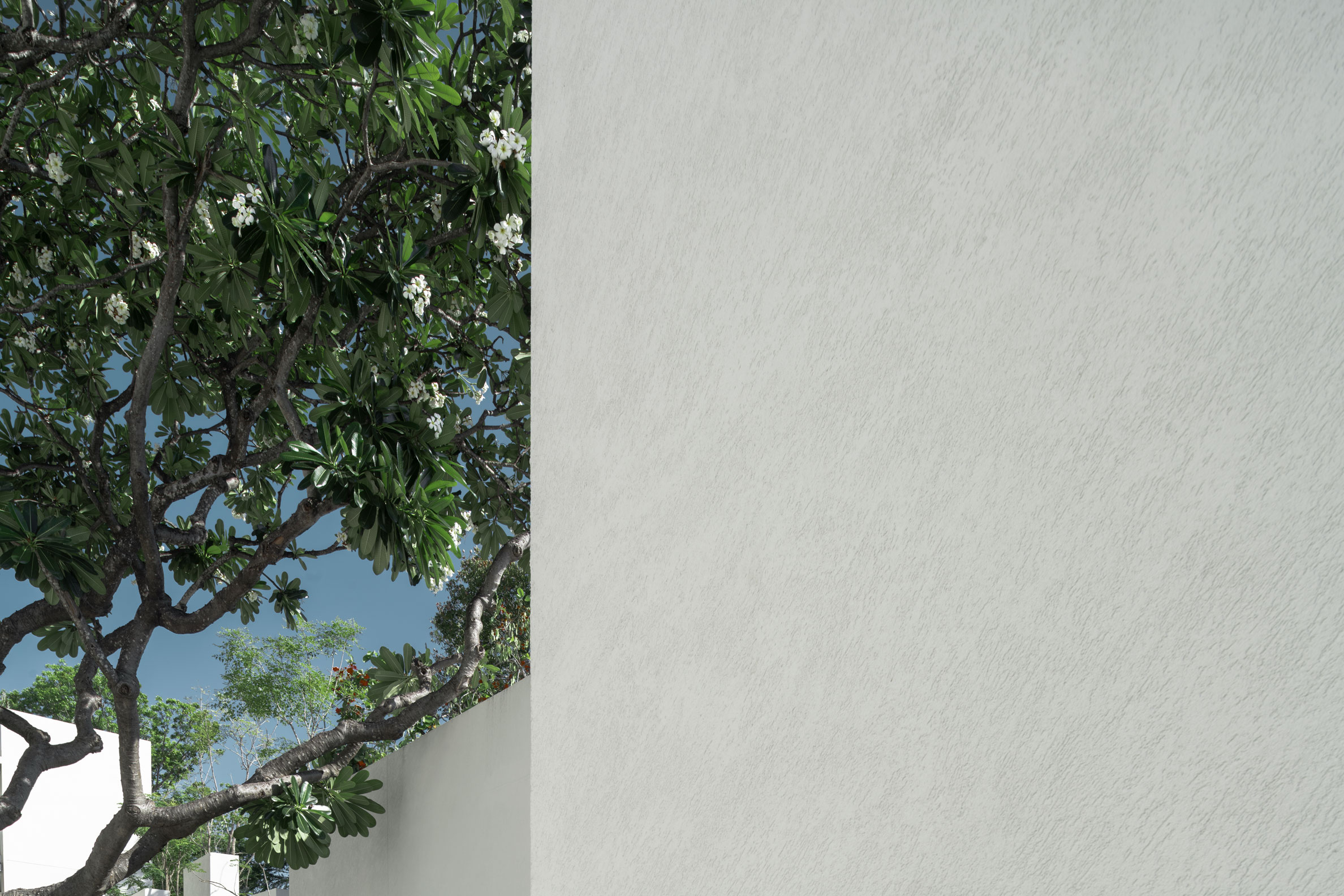 Hua Hin | Wison Tungthunya & W Workspace	-1