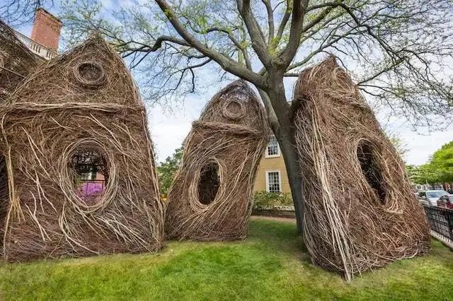 森林幻想家 | Patrick Dougherty 的树枝艺术-43