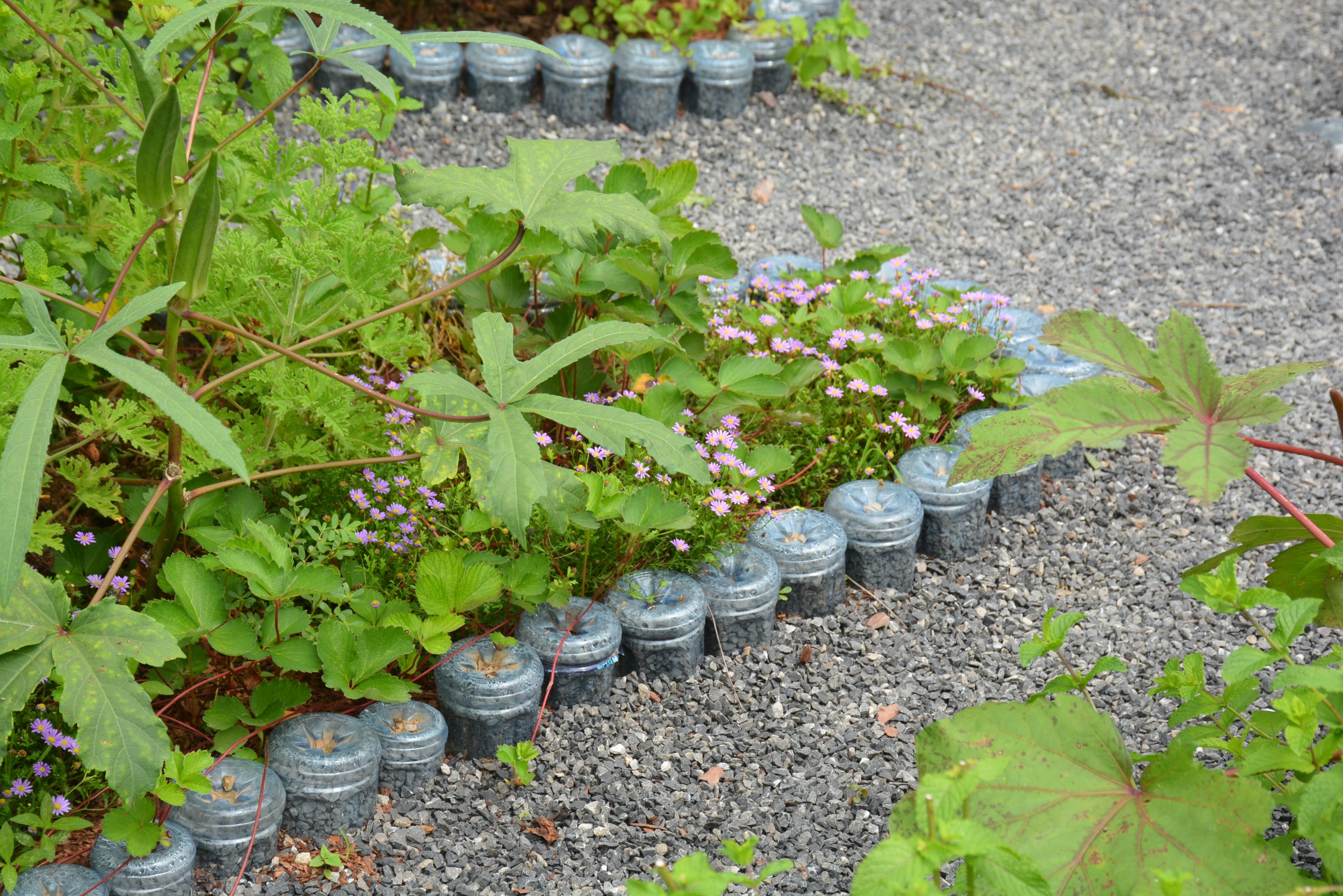 武汉脉动生态花园：一座由工厂废弃物建成的花园丨中国武汉丨盖娅朴门设计-9