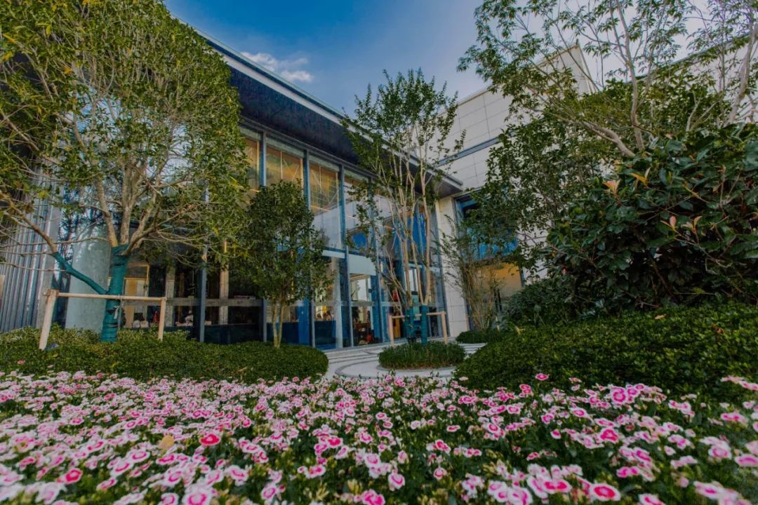 梦寻太湖畔,蝶舞雁栖湖-126