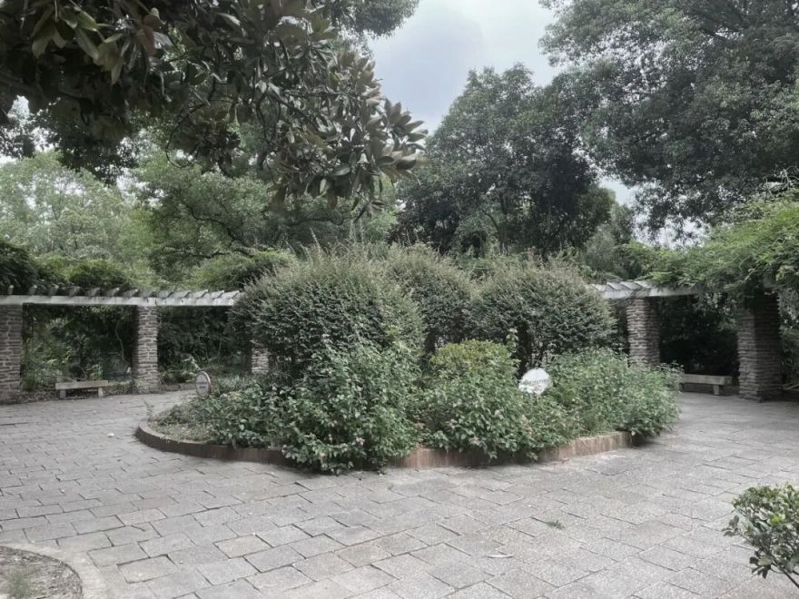 中国园林·理事专栏|“拓”之力量:杨浦公园改造纪实(三)-101