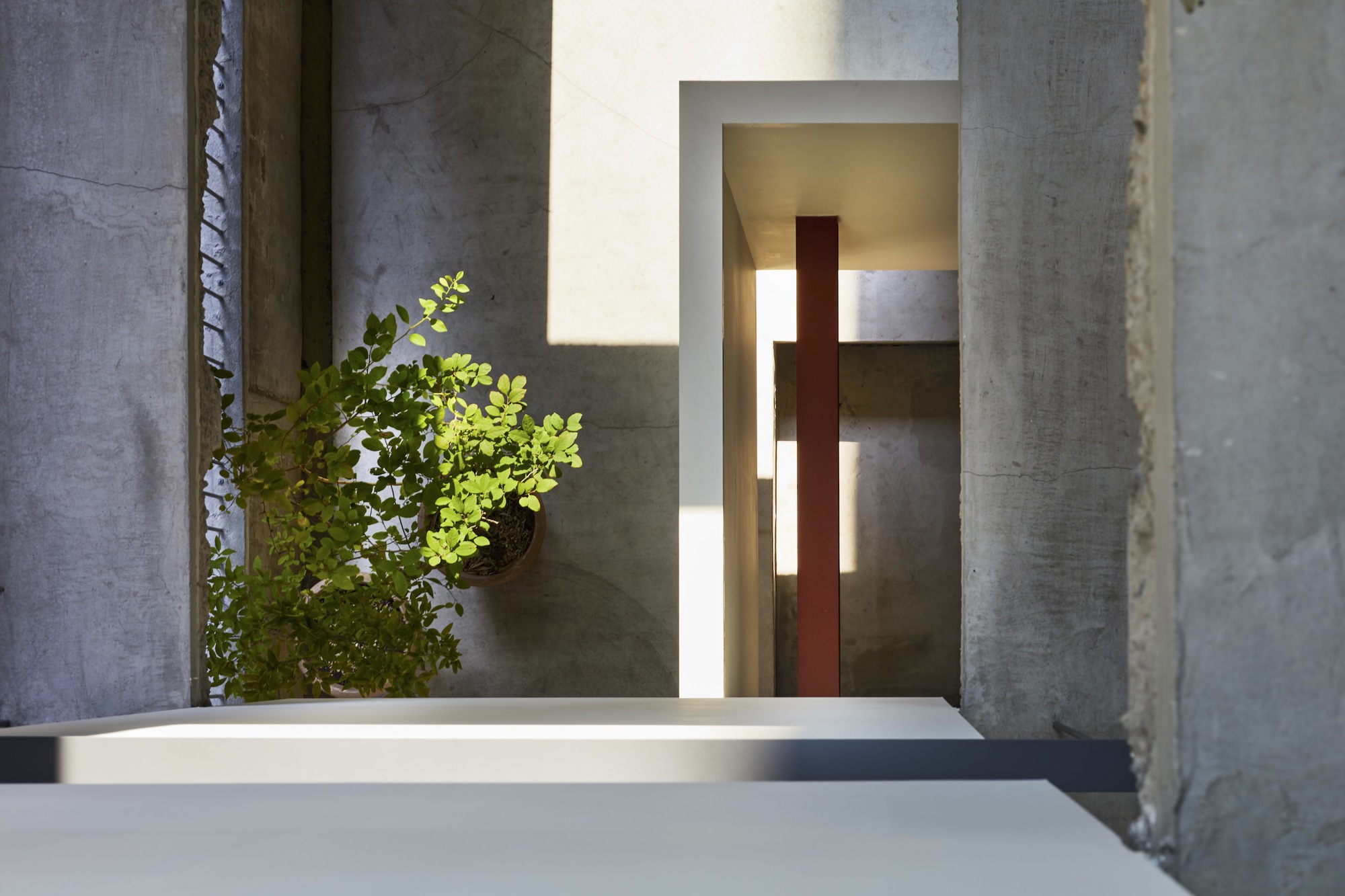 SAISEI Office Building in Kandanishikicho / Saisei Kenchiku Laboratory-24