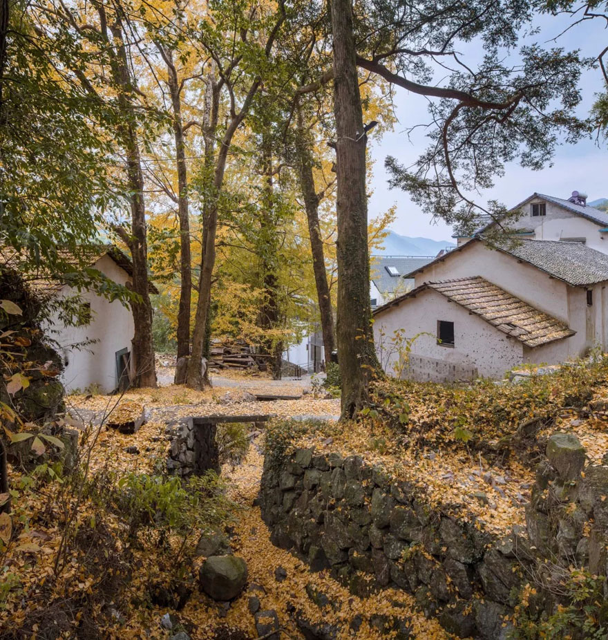 安吉迈岚度假酒店(MIRACLELAND HOTEL)-4