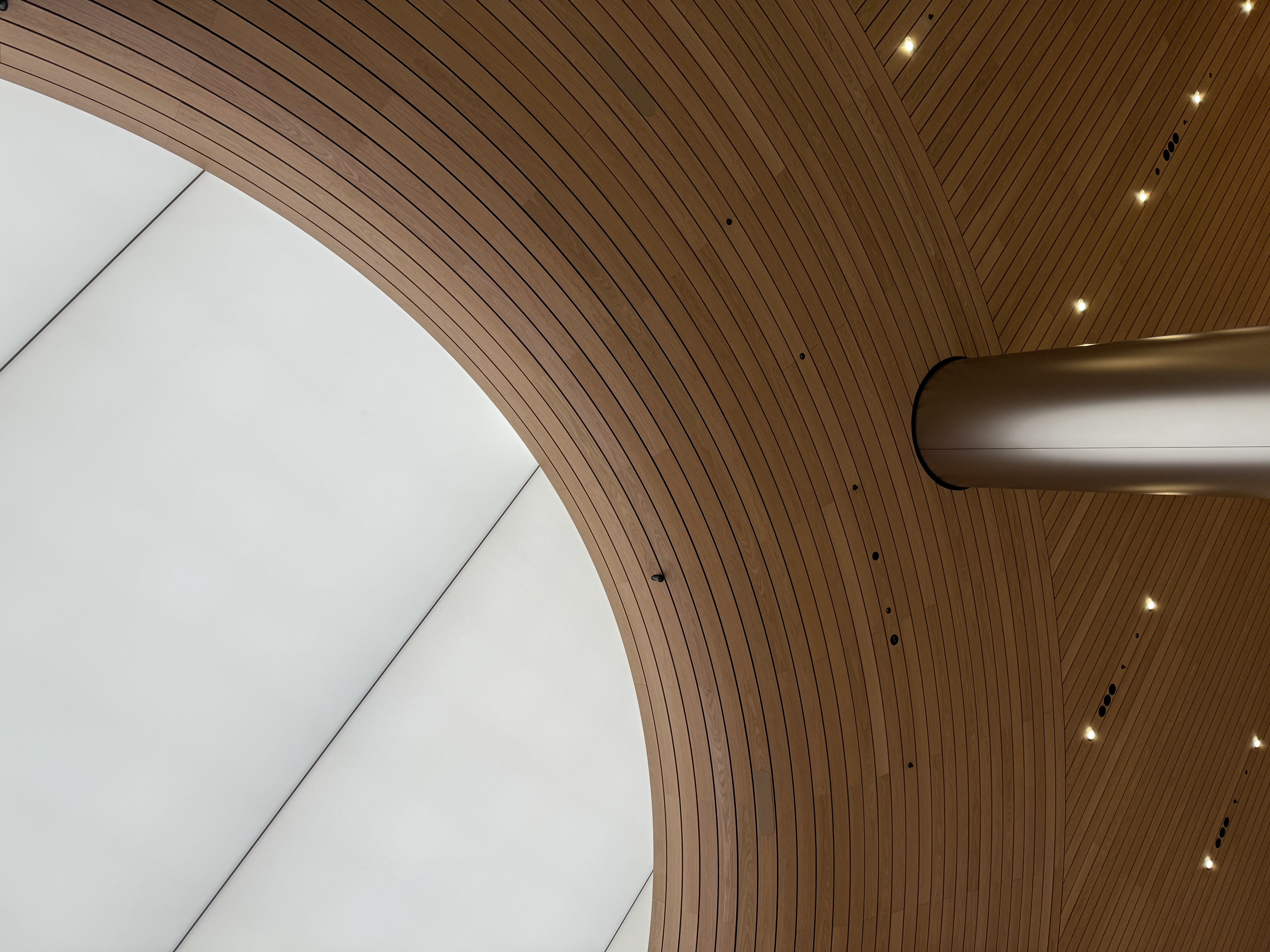 Apple Store design that combines the landscape-7