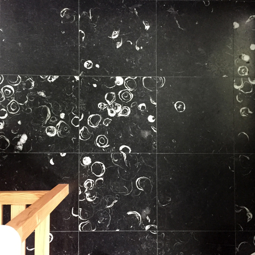 废弃郊区房变身为绿意盎然的艺术品-33