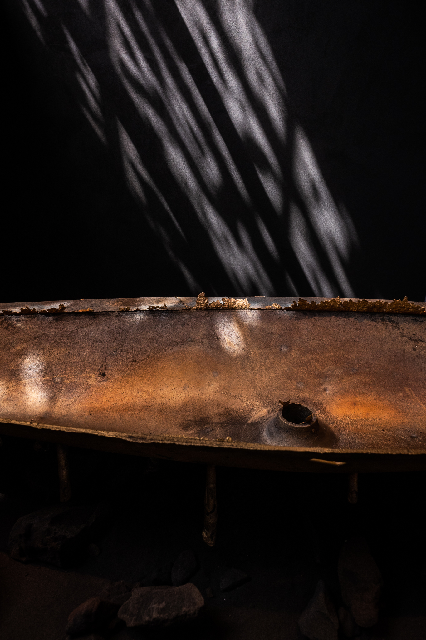 Sharks at The Jane - Dieter Vander Velpen Architects-14