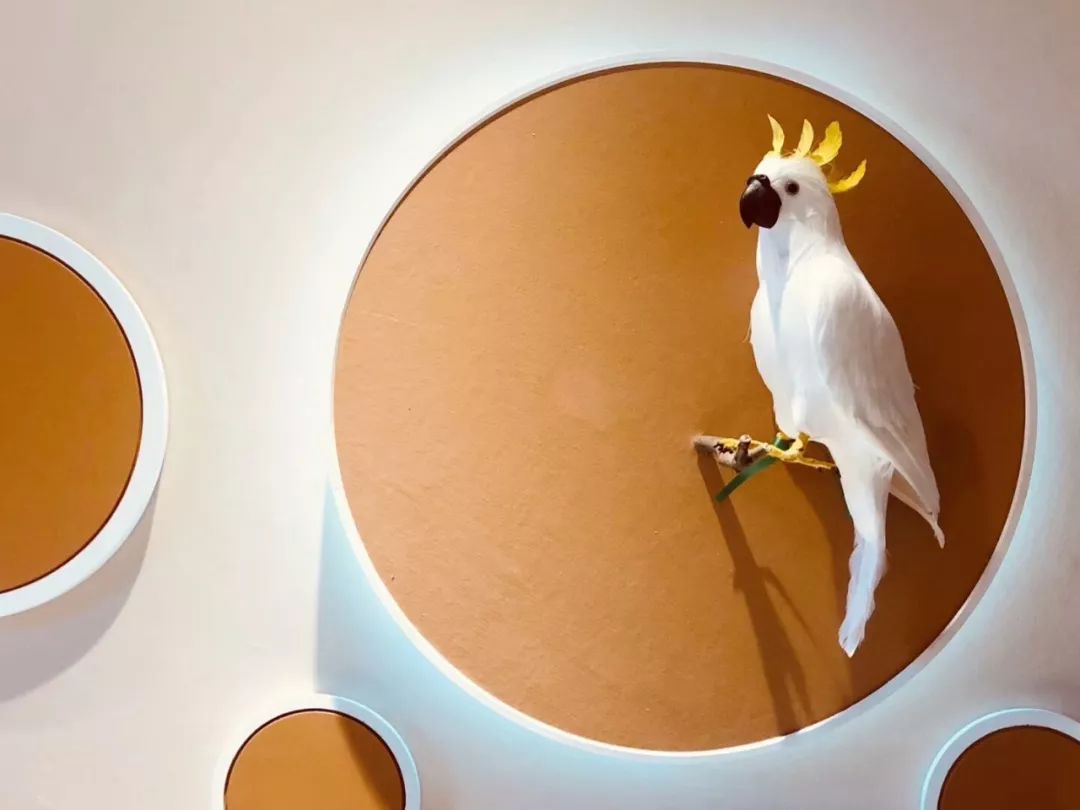 合肥翡翠天际 166 户型样板间 | 自然都市诗歌的寓教于乐设计-43