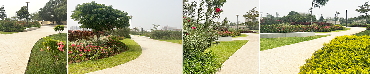 丨贝宁丨Loos van Vliet,与Rod’or Advies合作-14