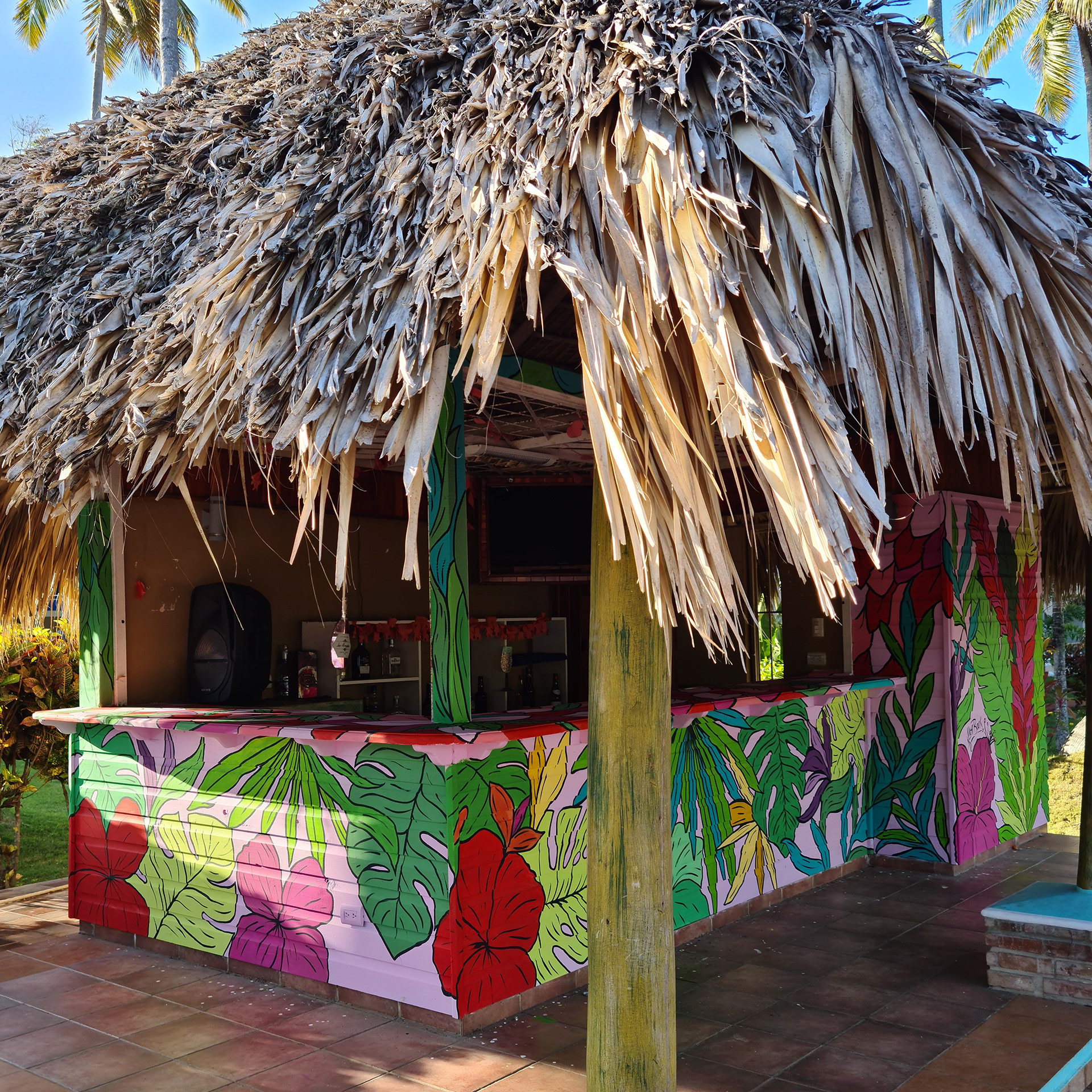 MURAL - Hotel Cortecito INN - PUNTA CANA-4