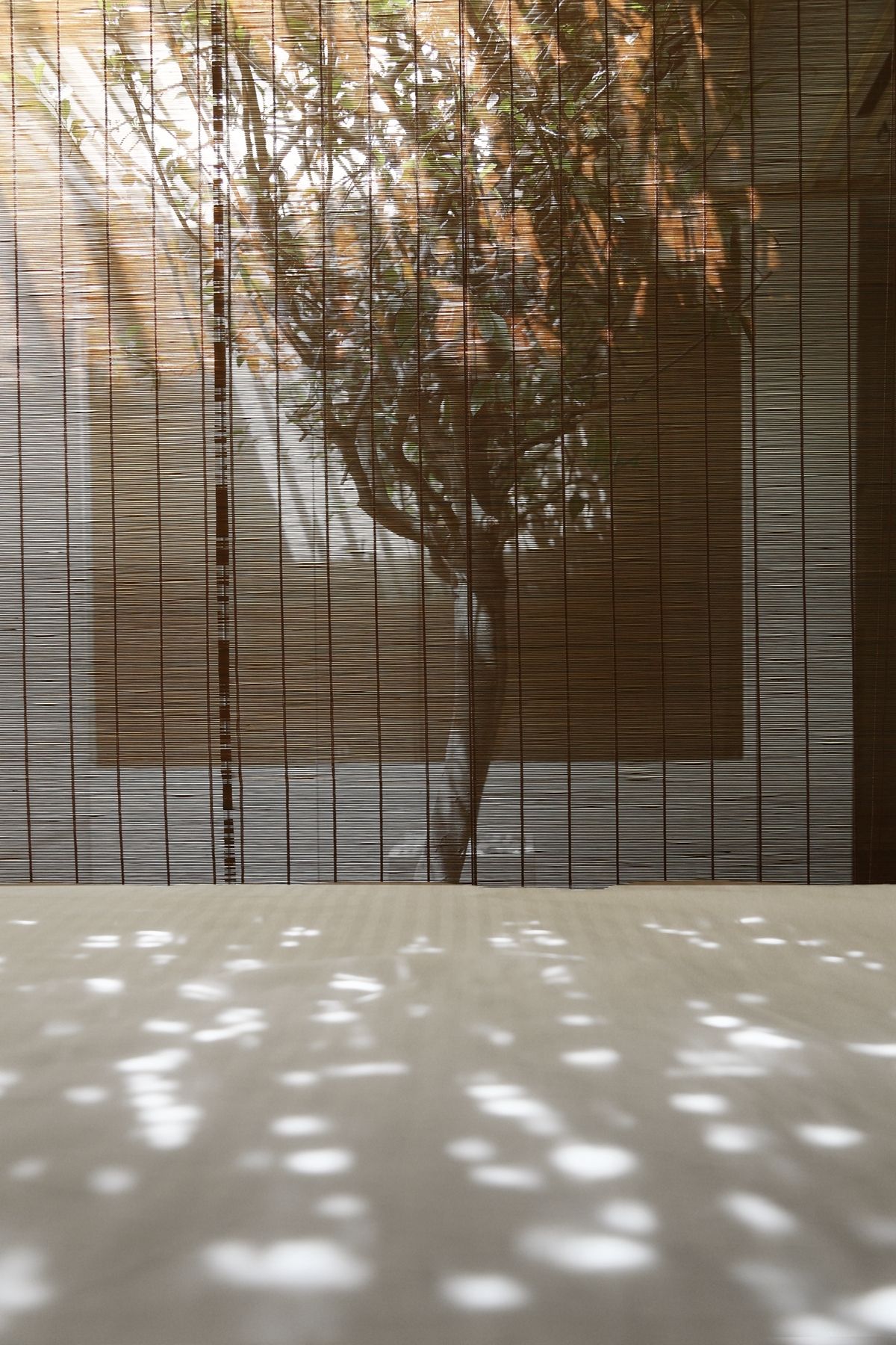 猫宅(Cat House)-53