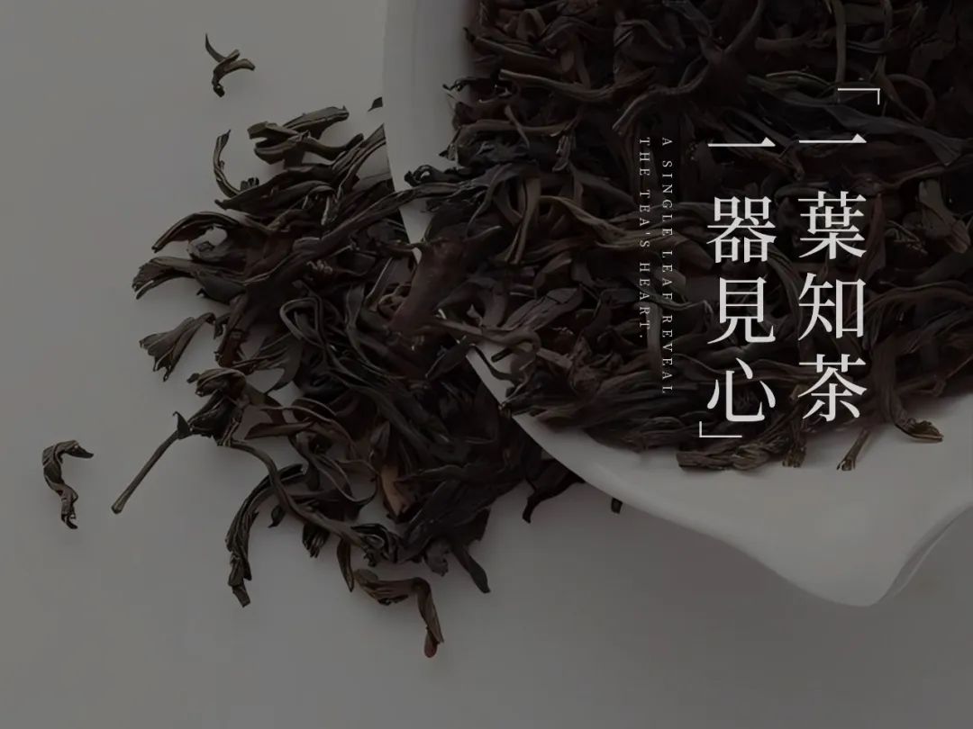 深圳宝安中粮大悦城丨中国深圳丨AN  AURA（段志,梁世荣等团队成员）-24