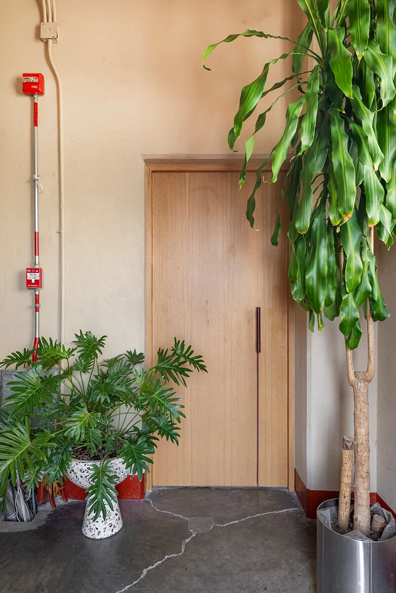 墨西哥城繁忙大道上的空中办公室改造-59