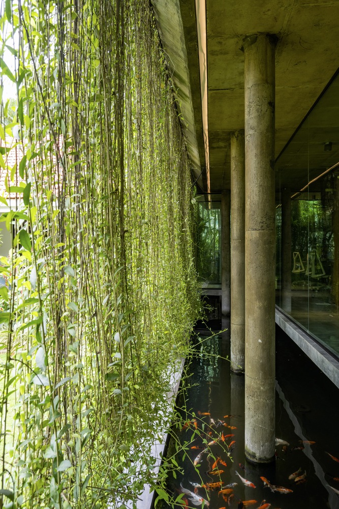 中枢神经系统办公室丨Studio Avocado-19
