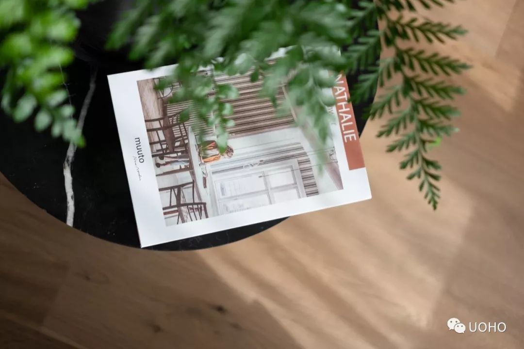 春色满园 | 小思的文艺绿意之家-35