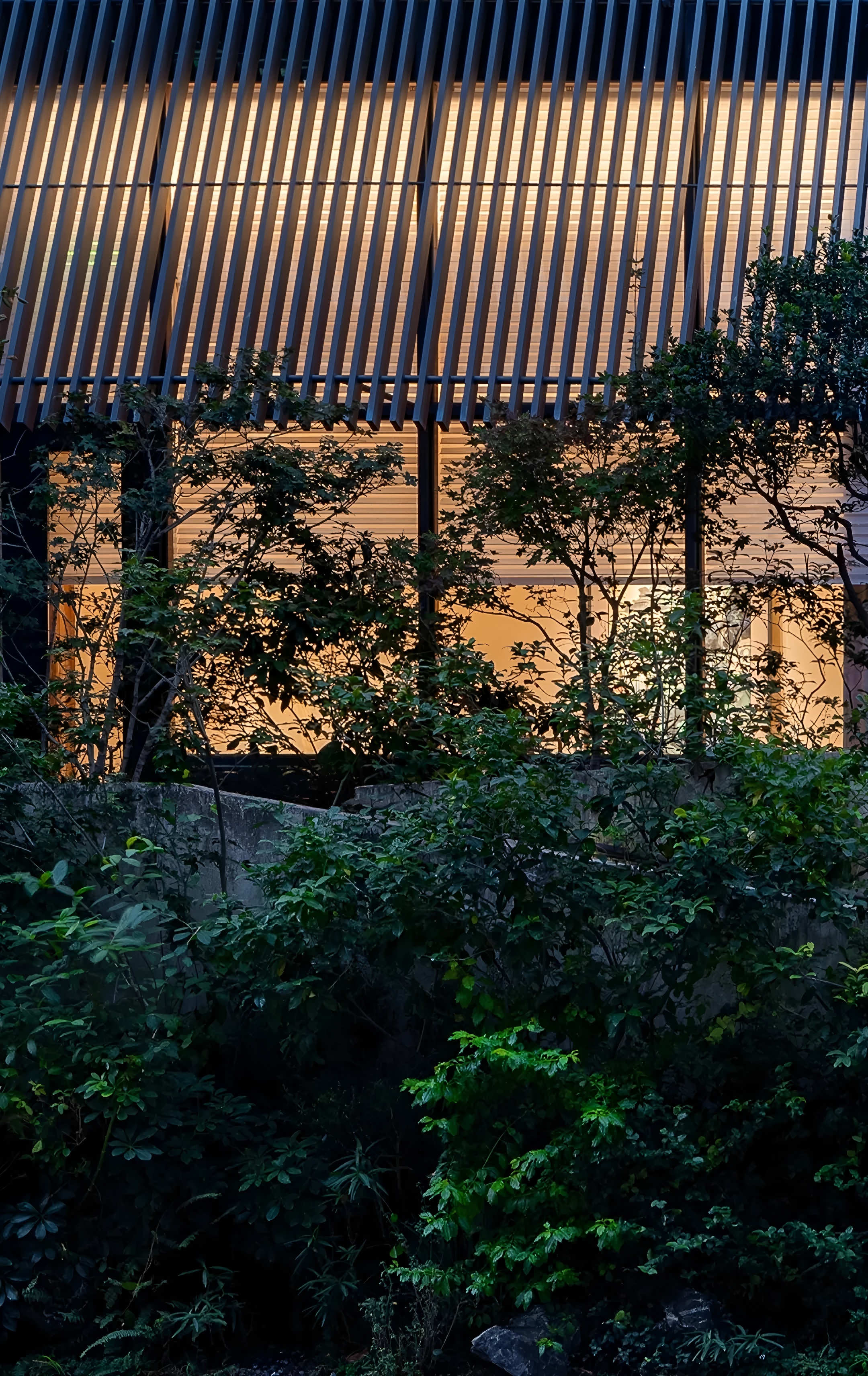 深圳茅台鉴藏馆丨中国深圳丨BLOOMDESIGN绽放设计-10