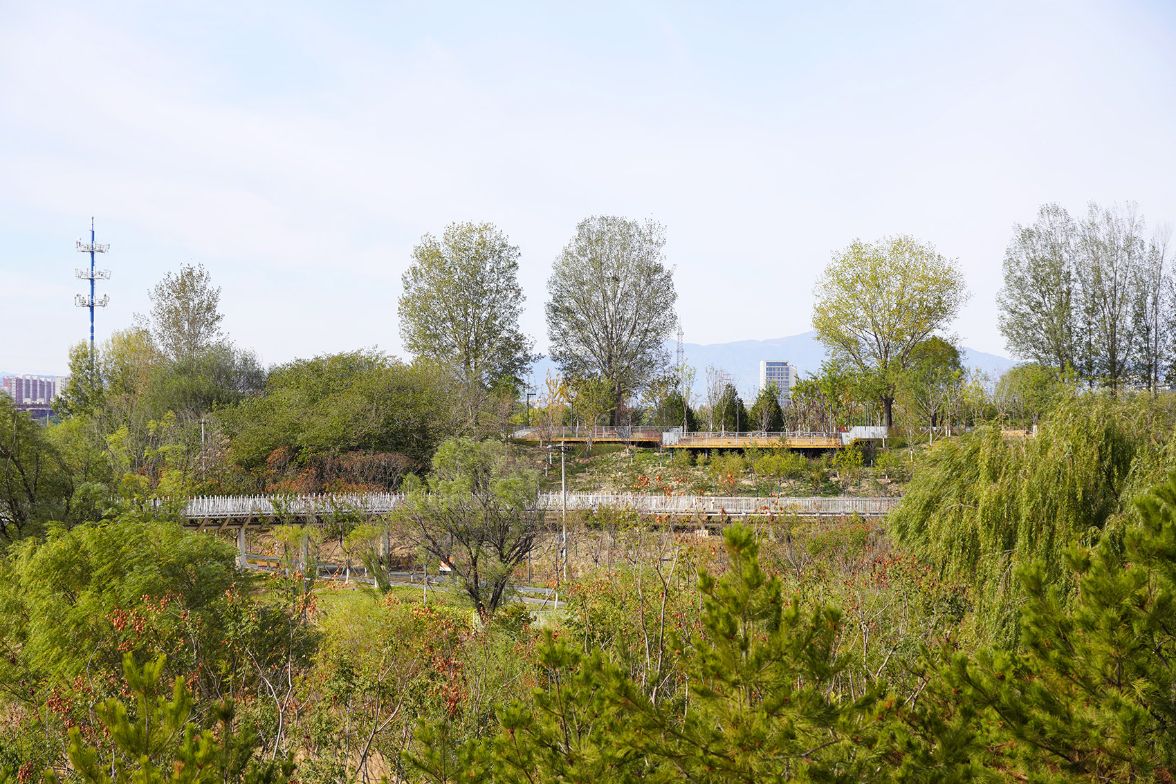 奥北森林公园二期景观及景观建筑系列丨中国北京丨北京北林地景园林规划设计院有限责任公司,北林风景建筑研究中心-245