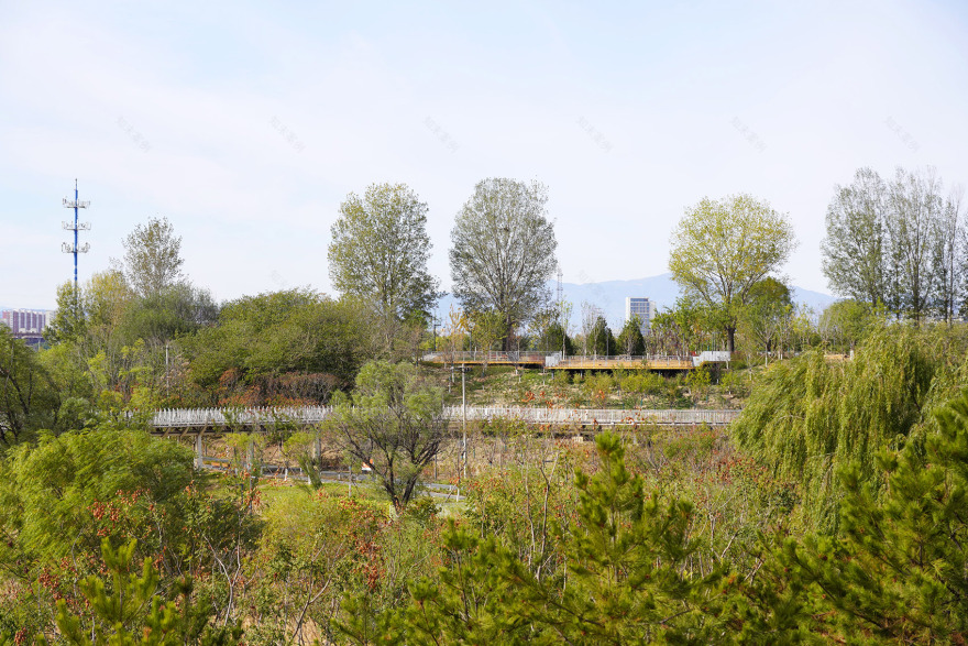 奥北森林公园二期景观及景观建筑系列丨中国北京丨北京北林地景园林规划设计院有限责任公司,北林风景建筑研究中心-245