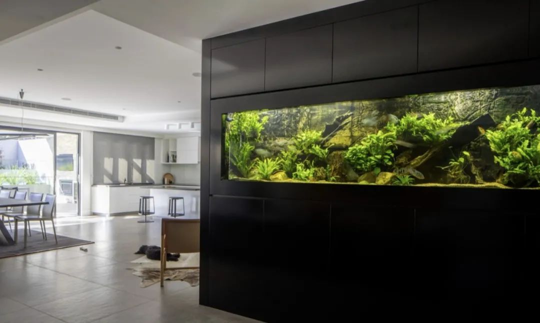 维多利亚公寓（或住宅）丨澳大利亚墨尔本丨Finnis Architects-184