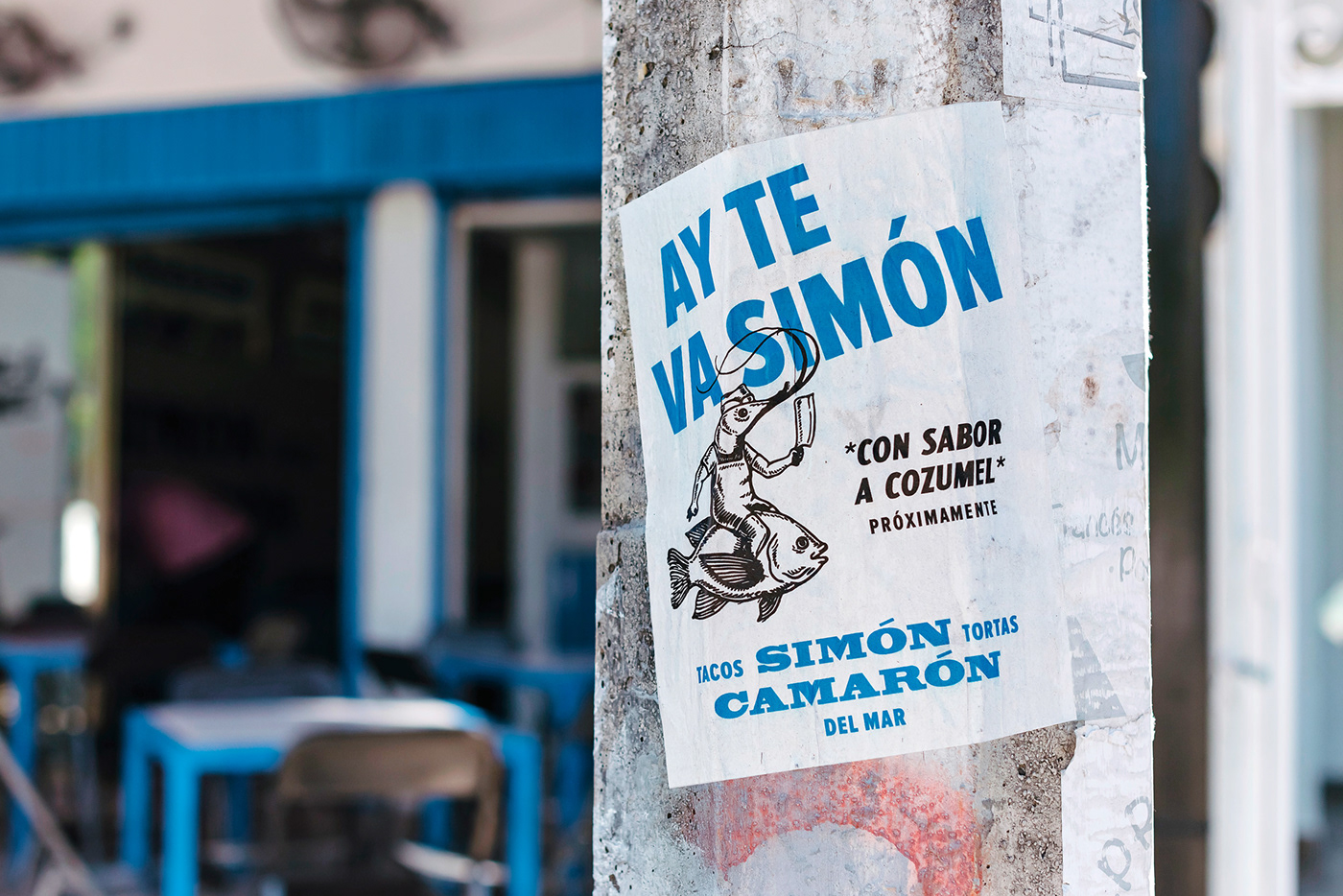 西蒙·卡马龙-13